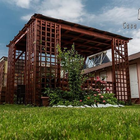 Casa Ana Maria Villa Vama Veche Buitenkant foto