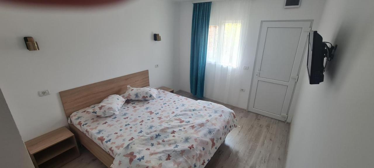 Casa Ana Maria Villa Vama Veche Buitenkant foto