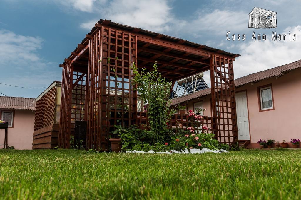 Casa Ana Maria Villa Vama Veche Buitenkant foto