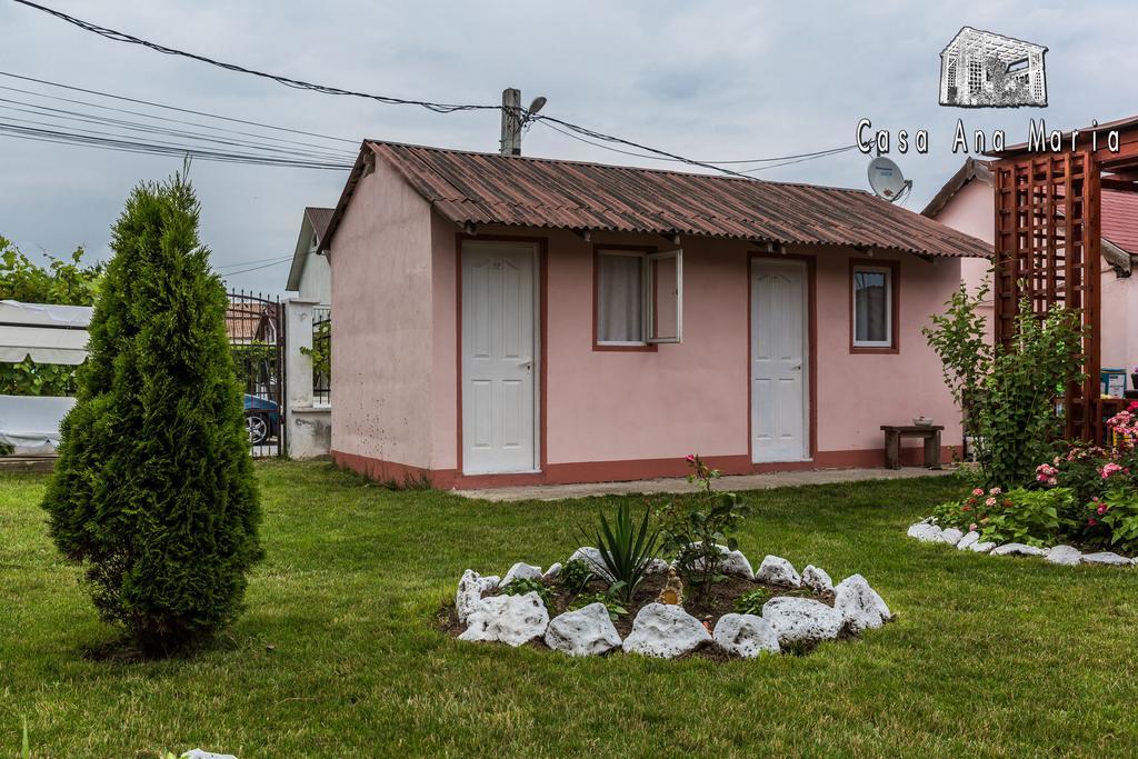 Casa Ana Maria Villa Vama Veche Buitenkant foto