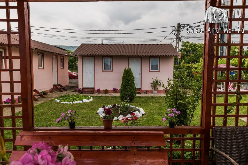Casa Ana Maria Villa Vama Veche Buitenkant foto