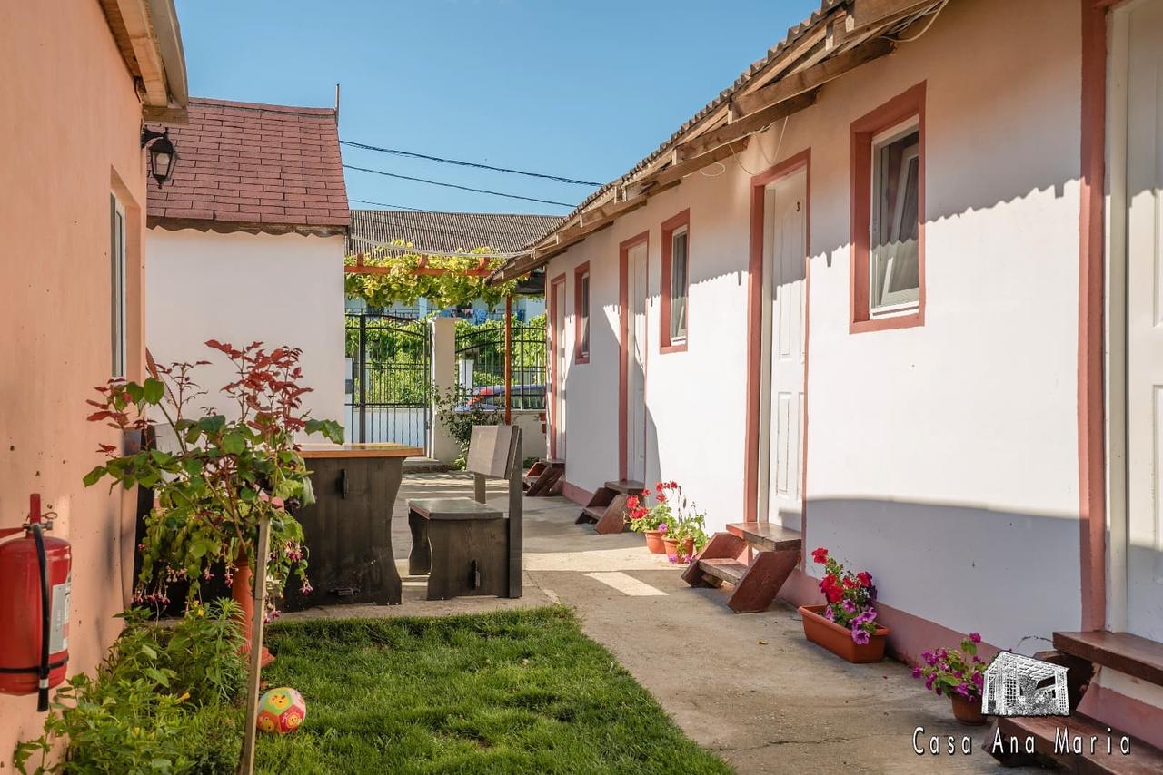 Casa Ana Maria Villa Vama Veche Buitenkant foto