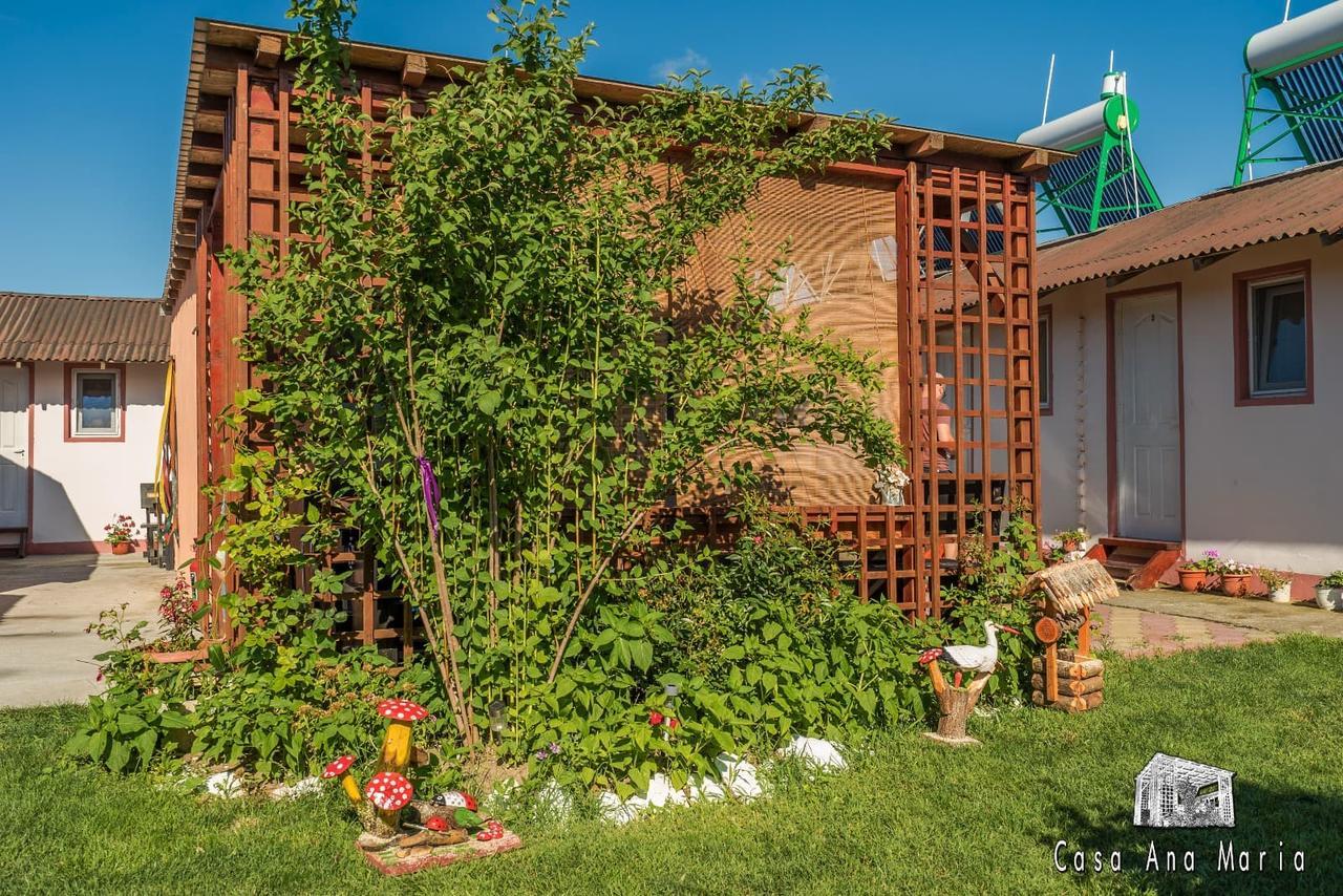 Casa Ana Maria Villa Vama Veche Buitenkant foto
